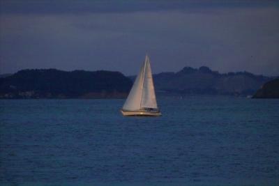 IMG20350.jpg