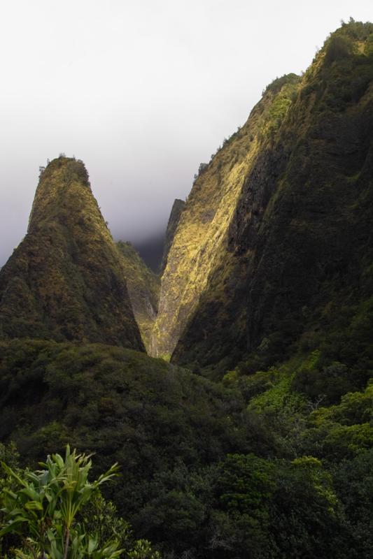 IAO Needle