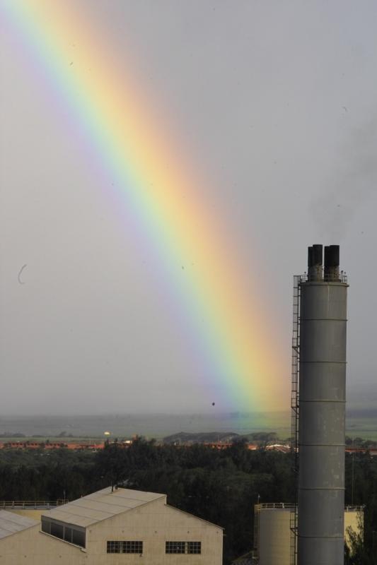 Rainbow