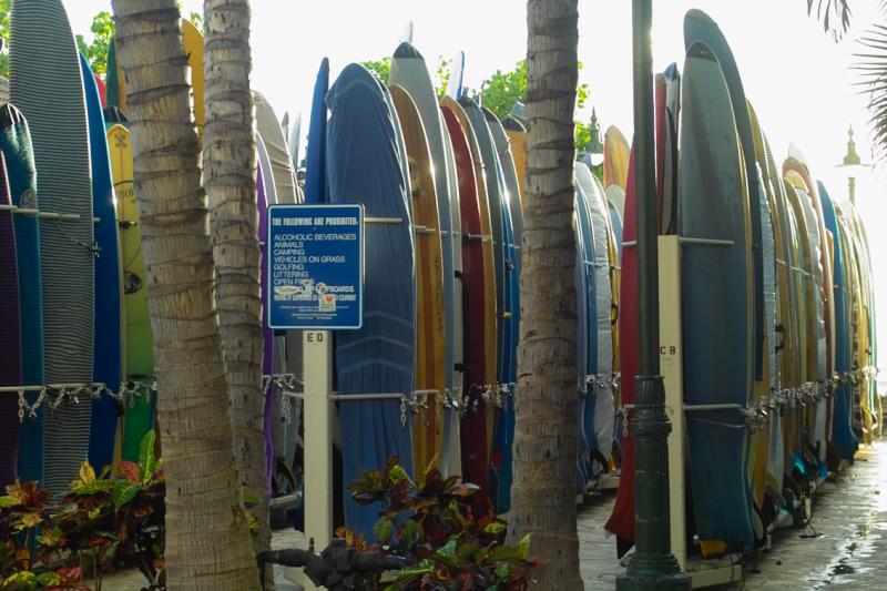 Surf Boards