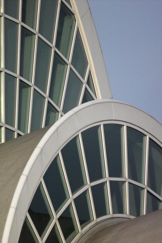IMG06481.jpg
