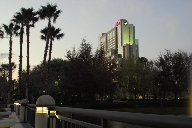 IMG06494.jpg