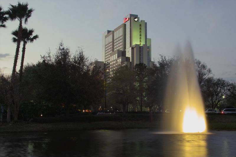IMG06495.jpg