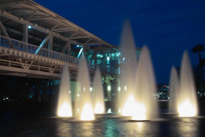 IMG06501.jpg