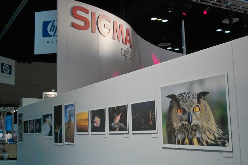 IMG06640.jpg