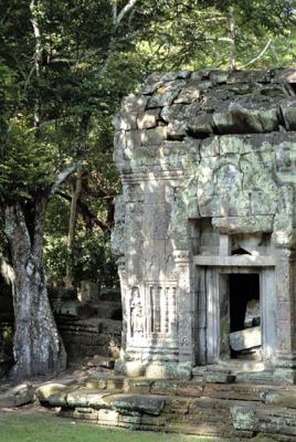Cambodia-Angkor-Ta Prohm