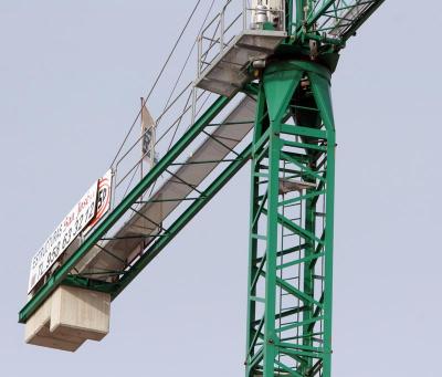 The crane should be Spain's national emblem