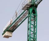 The crane should be Spains national emblem