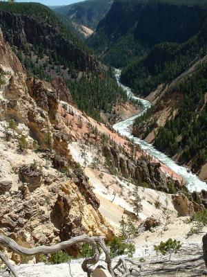 Yellowstone River by Canyon