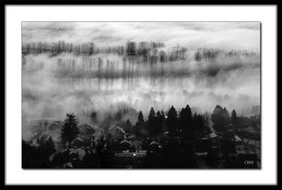 Fog in the river valley