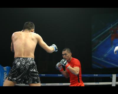 Mixed Martial Arts