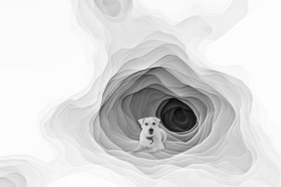 His Secret Place