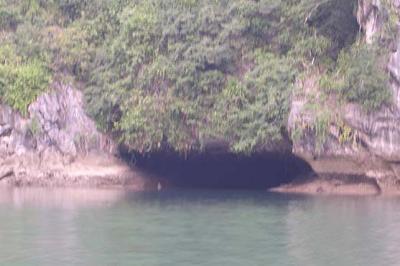 We paddled through this cave, which was pitch black & curvy