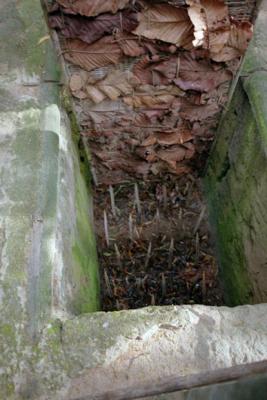 Looking down into a tiger trap, with a moving cover and spikes at the bottom.