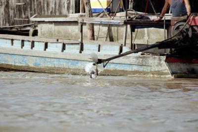 Mekong028.jpg