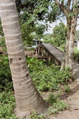 Mekong031.jpg