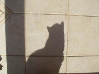 Sony 80MinimalismMy Other Shadow