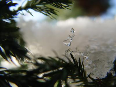 Ice Ornaments