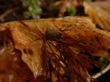 DSC07123.JPG