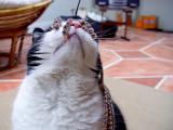 DSC07230.JPG