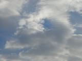 DSC07343.JPG