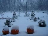 DSC07528.JPG