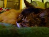 DSC07772.JPG