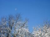DSC07821.JPG