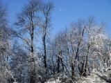 DSC07839.JPG
