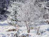 DSC07859.JPG