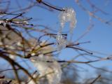 DSC07959.JPG