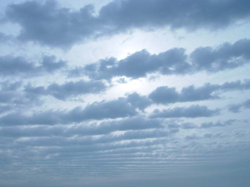 October 26, 2004