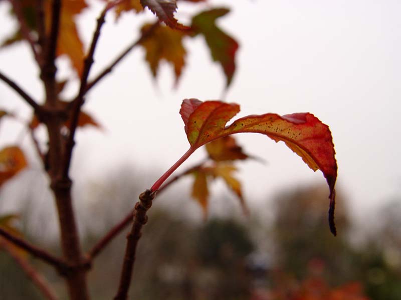DSC05957.JPG