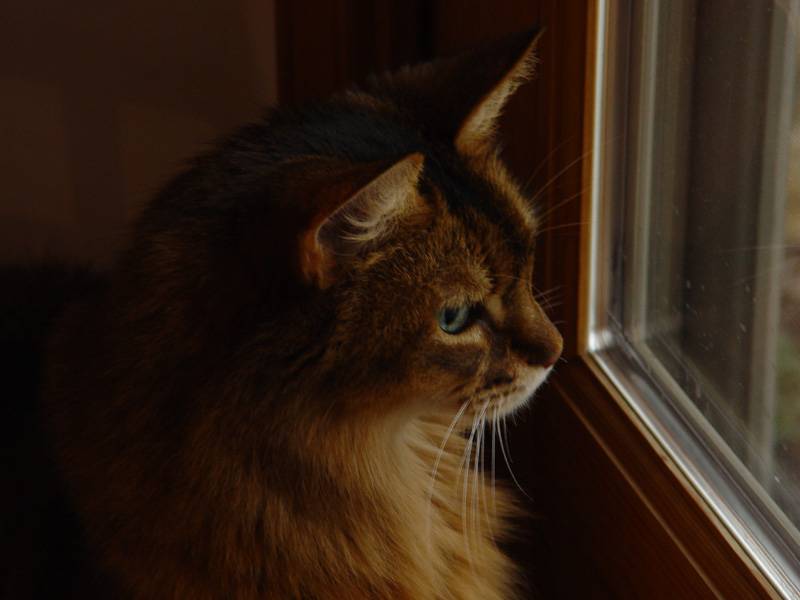 DSC07289.JPG