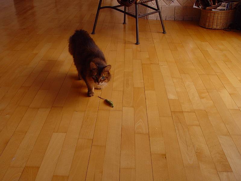DSC04086.JPG