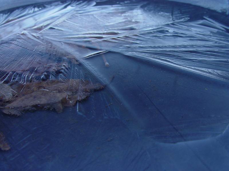 February 22, 2005<br><font size=2>Frozen Sea</font><br>Day 292