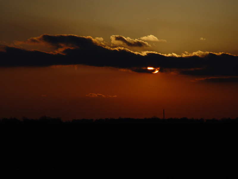 DSC04250.JPG