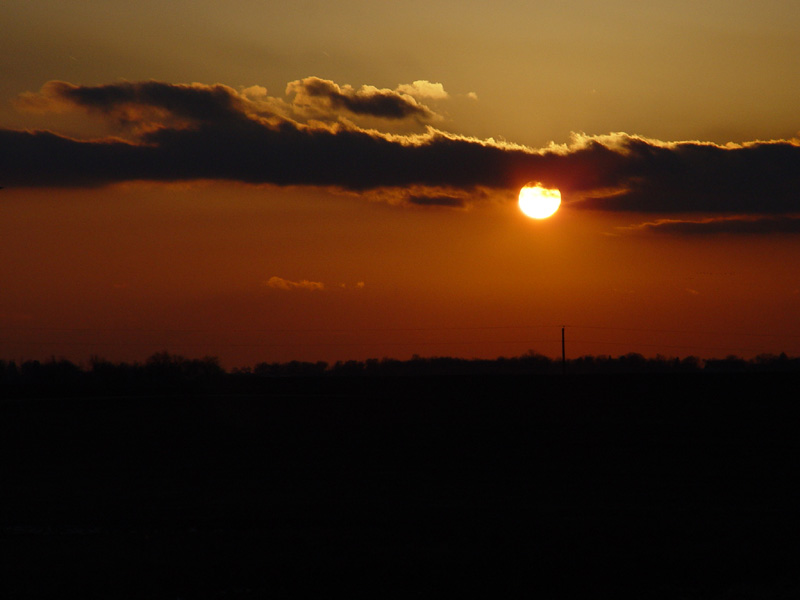 DSC04255.JPG
