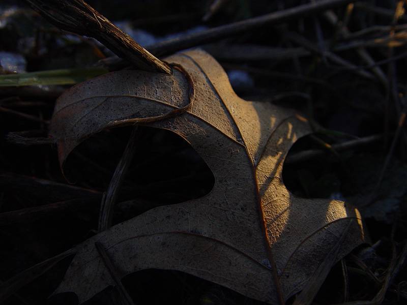 DSC04187.JPG