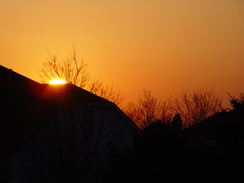 DSC06916.JPG