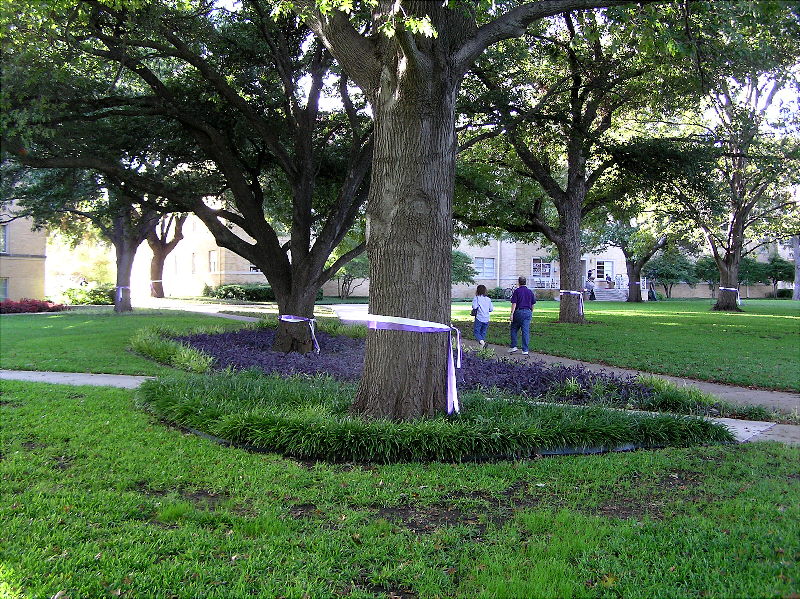 TCU Campus