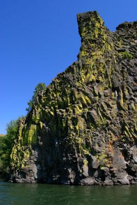 Basalt and Lichen