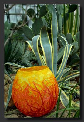 d Cactus Jar *
