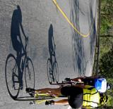 <b>6th Place</b><br><i>Colored Shadows<br>by Jose Pablo Martinez</i>