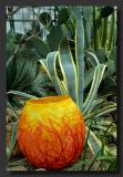 d Cactus Jar *