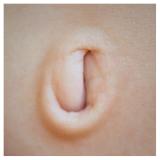 <b>4th Place</b><br><i>J <br>by Grant Hamilton</i>