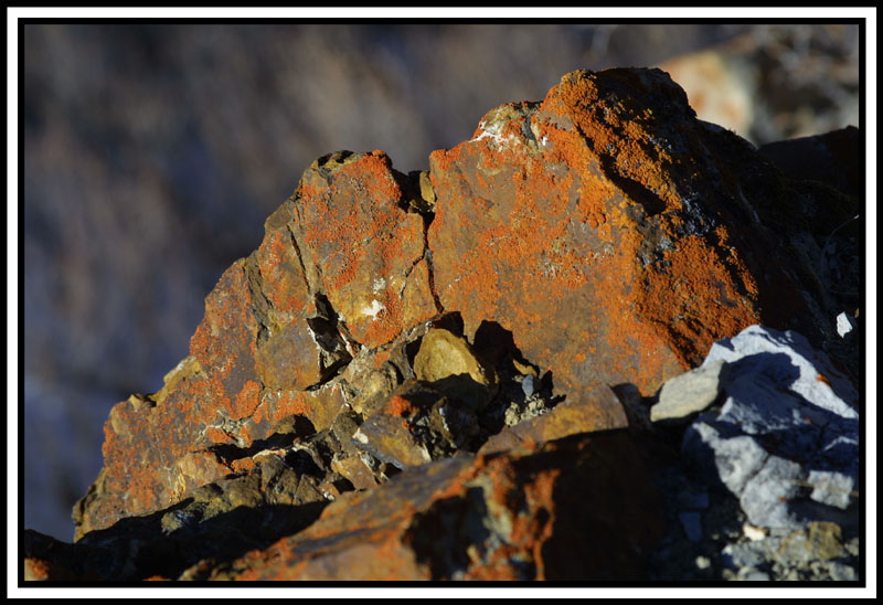<b>*Jagged Edge*</b><br><i><font size =1>by Paul Stuckless</i>