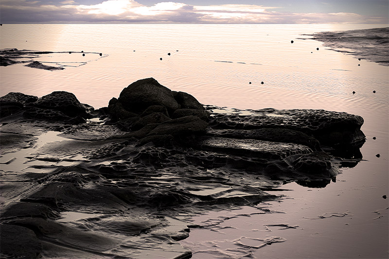 <b>Fantasy Bay <br> 9th Place</b><br><font size =1>thubleau