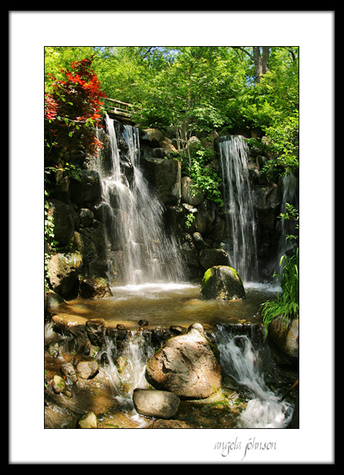 <b>Boulders, Stones,<br>& a Waterfall</b><br><i>Angela Johnson</i>