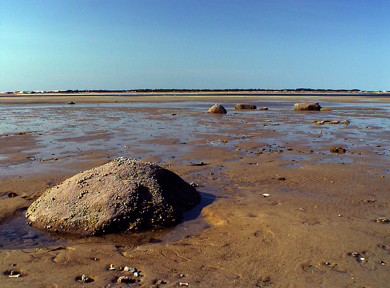 <b>Low Tide</b><br>Loren Charif